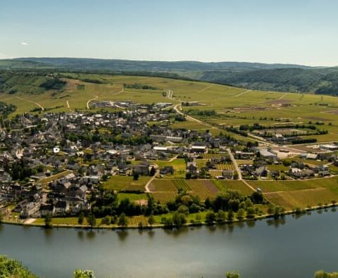 Panoramablick auf ein malerisches Dorf am Flussufer, eingebettet in die üppigen, sanften Hügel von Rheinland-Pfalz. Die ruhige Mosel schlängelt sich um die Siedlung und schafft eine idyllische Szenerie aus Grün und Ruhe, wobei eine Brücke beide Seiten der Landschaft verbindet.