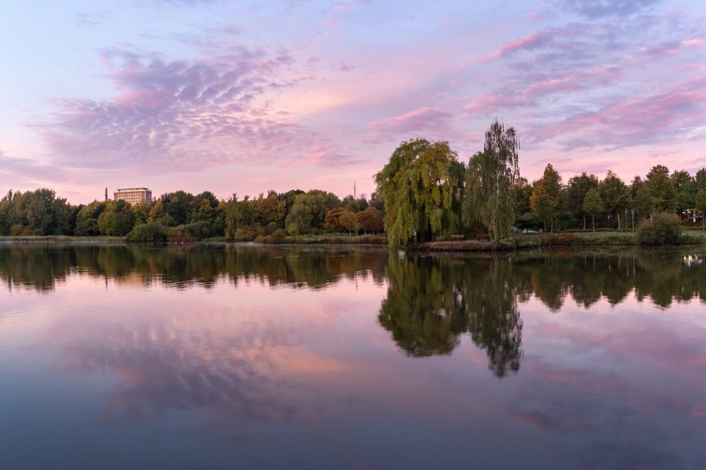 Eine ruhige Szene am Seeufer in Elmshorn bei Sonnenuntergang. Der Himmel ist in zarten Rosa- und Lilatönen gemalt und spiegelt sich im stillen Wasser. Bäume und Büsche säumen das Wasser, im Hintergrund sind einige Gebäude zu sehen. Die Atmosphäre ist ruhig und friedlich.