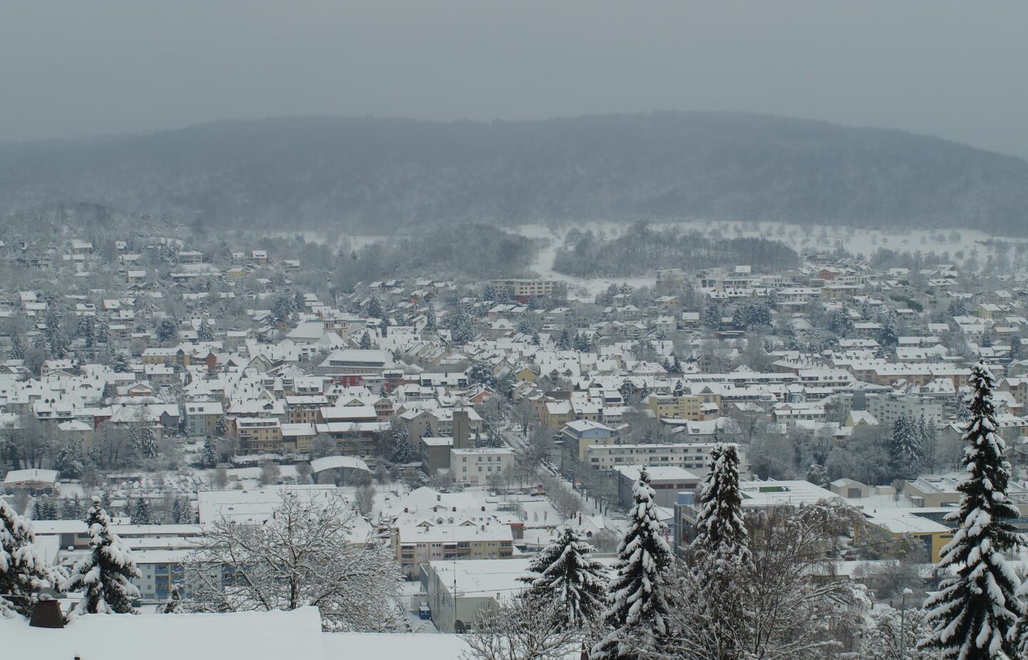 lörrach-home4time-img-2