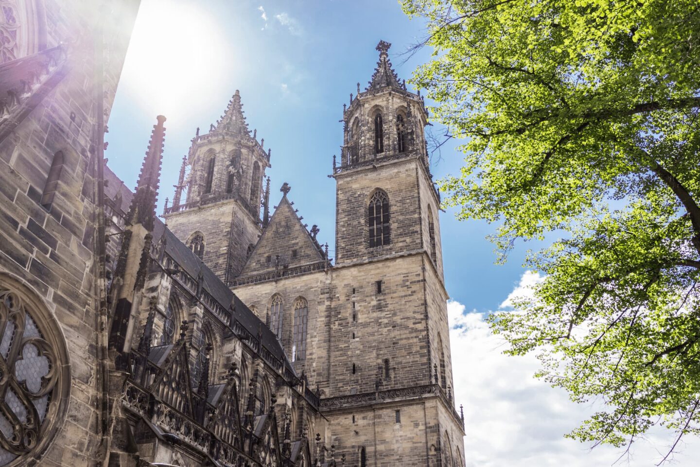 Eine historische Kathedrale mit zwei hohen Türmen unter einem hellen, sonnigen Himmel, umgeben von üppigen grünen Bäumen in der Stadt Magdeburg, Deutschland. Die architektonischen Details zeichnen sich durch kompliziertes Mauerwerk und Spitzbögen aus, wobei das Sonnenlicht einen strahlenden Effekt auf der Steinfassade erzeugt.