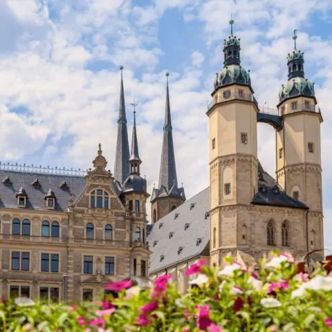 Eine europäische Stadtansicht in Halle zeigt eine markante historische Kirche mit Zwillingstürmen und mehreren Kirchtürmen. Im Vordergrund ist eine farbenfrohe Anordnung von rosa und weißen Blumen zu sehen, während der Hintergrund einen teilweise bewölkten Himmel mit einer Mischung aus alten und modernen Gebäuden zeigt.