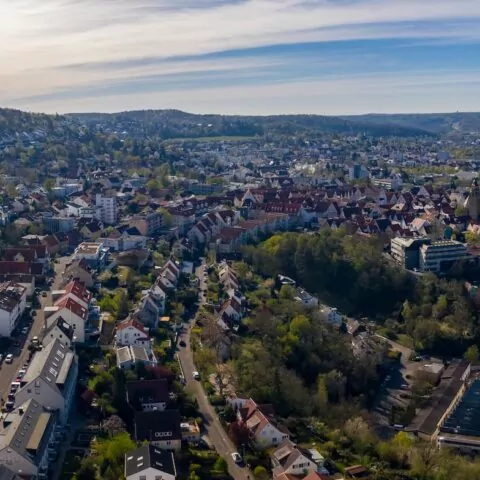 leonberg-home4time-img-2