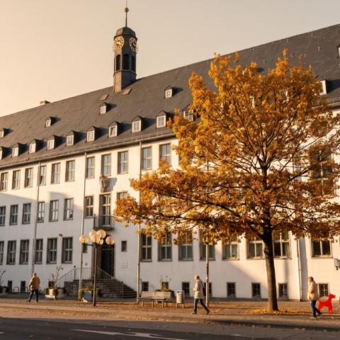 ruesselsheim_rathaus_max2000