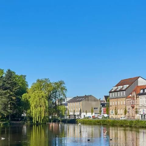 Ein malerischer Blick auf einen ruhigen Fluss in Neumünster, flankiert von Bäumen auf der linken und Gebäuden auf der rechten Seite. Der klare blaue Himmel spiegelt sich im Wasser und man sieht ein paar Vögel fliegen. Üppiges Grün und farbenfrohe Fassaden der Gebäude tragen zur ruhigen Atmosphäre bei.