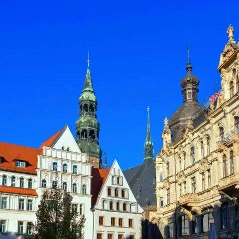 Eine malerische Stadtansicht von Zwickau mit historischen europäischen Gebäuden unter einem klaren blauen Himmel. Die Architektur weist unterschiedliche Stile auf, von kunstvollen klassischen Fassaden bis hin zu spitzen Dächern und Türmen, darunter ein markanter Uhrturm im mittleren Hintergrund.